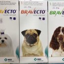 문산약국 이미지