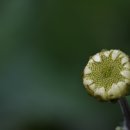 수분령휴게소 이미지