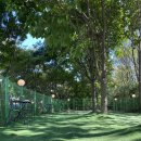 퍼피포레스트 이미지