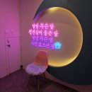 워터독 | 부천 애견수영장 애견동반술집 24시간 실내애견카페 워터독