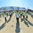 원통초등학교 이미지