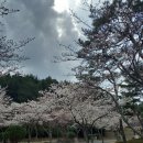 주식회사 봄길 | 포항 환호해맞이공원, 공원분식에서 국수먹고, 환호공원 조형물 스페이스 워크에 가다