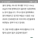 바이오플러스 주가 오늘 상장 될 것 같은데 과연 어떻게 될까? 이미지