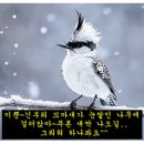 무릉도원면-48 이미지