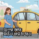 파주시교통약자이동지원센터 | 파주 임산부 혜택 파주시 바우처 택시 총정리