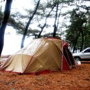 장사해수욕장 이미지