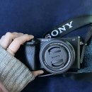 오이소홍게무한리필 이미지