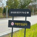 동화마을2단지(동화6리) | 곡성 동화정원 주차 입장료 다녀온 후기