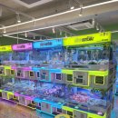 샵(#)뽑기뽑기 이미지