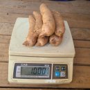 가지산천마영농조합 이미지