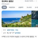 울릉벚꽃 | 여름휴가 어디갈래? 울릉도! 독도! 가보자고! _ 울릉도 &amp; 독도 여행1 _ 계획