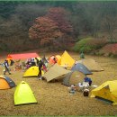 alpine tent -show-2009 /후기 이미지