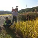 주암농장 이미지