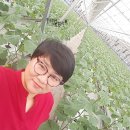 현창농장 이미지