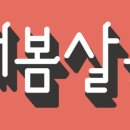 봄;살롱 이미지