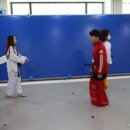 고려용호태권도장 네이버블로그