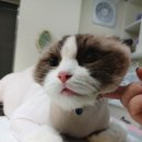 호텔누누 이미지