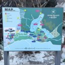 하이애니멀샵 | 포천 귀여운 테디베어소가 있는 마이애니멀스토리 평강랜드 당일치기 가볼만한곳 추천