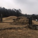 연안부부인전씨묘 | 용인시 향토문화재 18호 (연안부부인 전씨 묘)