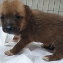 디아크 동물병원 이미지