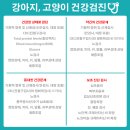 홈즈 동물병원 이미지