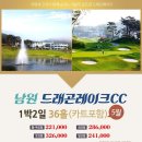 드래곤펜션