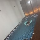 오호락2 이미지