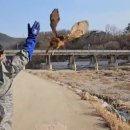 경북야생동물구조관리센터 이미지