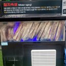 돈땡이