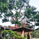 늘목농장 이미지