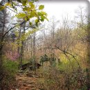 청량산의 봄 이미지