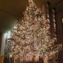 닉스앤녹스 | [그랜드하얏트]더 델리 : 샌드위치/샐러드/밤식빵/키쉬/타르트/피칸파이