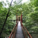 장흥 자연휴양림 이미지