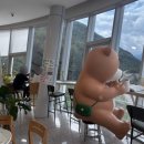 보현산 전망대카페 이미지