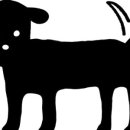 퍼피젤리 이미지