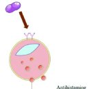 별품은약국 이미지