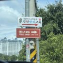 로드 | 화성 향남 대형카페 추천 | 테디스 로드 방문 후기