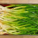 하노마을회관 이미지