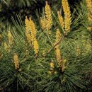 눈편안세상 이미지