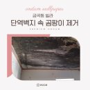 반창고 | 금곡동 도배, 단열벽지 속 곰팡이 제거 방법! 확실한 보수 후 광폭합지 시공 후기