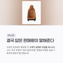 미래루체