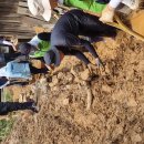 (주)그린나래 이미지