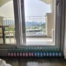 대관령엘도라도 이미지