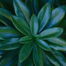 대명3동행정복지센터 이미지