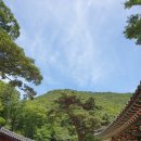 남새밭보리밥 이미지