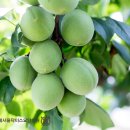 위례서울닥터스요양병원 이미지