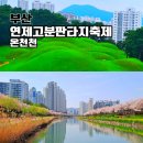 배산체육공원 앞 | 연제고분판타지축제 2026 부산 온천천 4월 행사 일정
