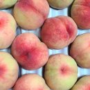 천하농장 이미지