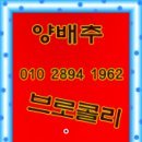천호농원