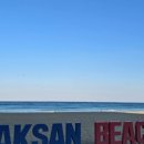 피짜라짜 이미지